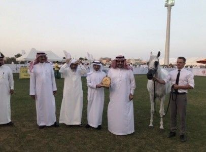تكريم الفائزين بالبطولة الوطنية لجمال الخيل العربية الأصيلة